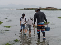 DSCN4584.JPGのサムネール画像